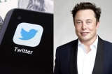 Twitter Elon Musk 2