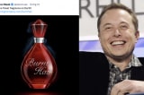 Elon musk ban nuoc hoa