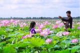 Vài làng hoa nổi tiếng đón Tết