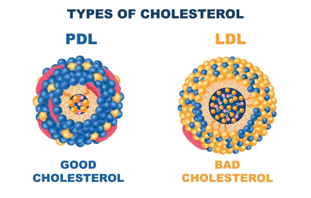 Cholesterol xấu