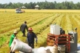 Nông nghiệp Việt Nam tăng trưởng mạnh trong Quý I