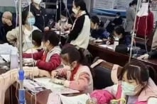 Trung Quốc gia tăng số người bị dị ứng, tăng đột biến tại Bắc Kinh