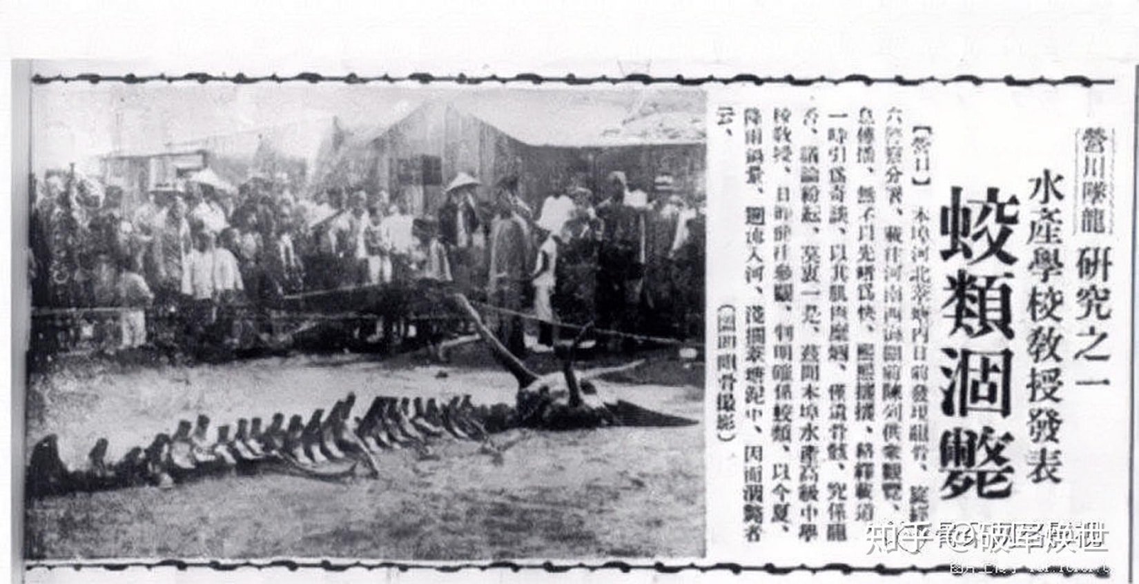 Bức ảnh bộ xương Rồng rơi ở Doanh Khẩu, Liêu Ninh, Trung Quốc được đăng trên báo Thịnh Kinh thời báo năm 1934