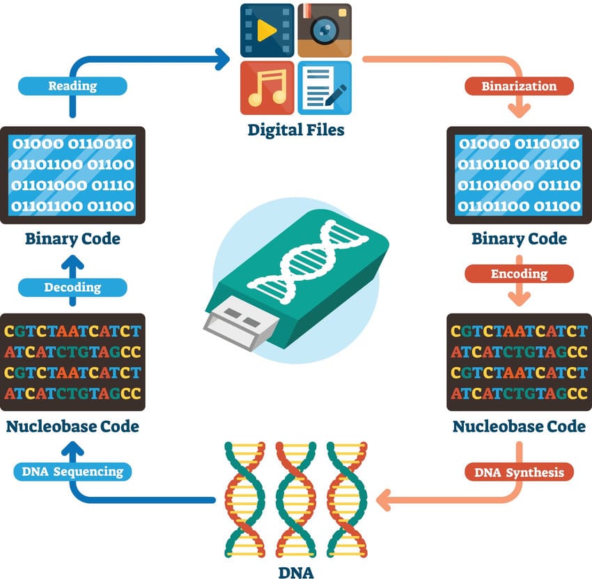 Nguyên lý của phương pháp lưu trữ dữ liệu số trên DNA