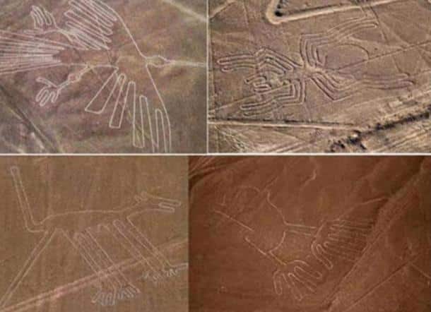 Các hình vẽ khổng lồ mô tả động vật trên cao nguyên Nazca (ảnh: ancient-origins.net)