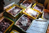 Hơn 2,2 tấn thịt chim cút được chuyển từ Đồng Nai ra Hà Nội, đang phân hủy