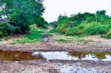 Cà Mau đề xuất xây dựng hệ thống thủy lợi dẫn nước ngọt từ sông Hậu