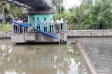Xâm nhập mặn ở Đồng bằng sông Cửu Long giảm dần