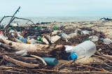 Ô nhiễm hóa chất nhựa thế giới vượt xa mức đánh giá môi trường trước đây