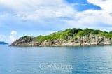 Cà Mau thành lập khu bảo tồn biển 27.000 ha quanh 3 cụm đảo
