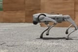 ĐCSTQ thổi phồng ‘chó robot quân sự’, chuyên gia: Quá lạ mắt và không thực tế